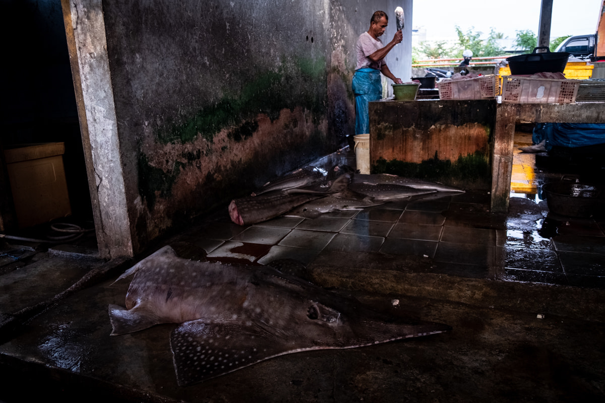At a traditional Indonesian market, a worker butchers a shark. Workers cut up sharks from 5 a.m. to 8 a.m., and a single worker can butcher up to 150 kilograms of sharks daily. 