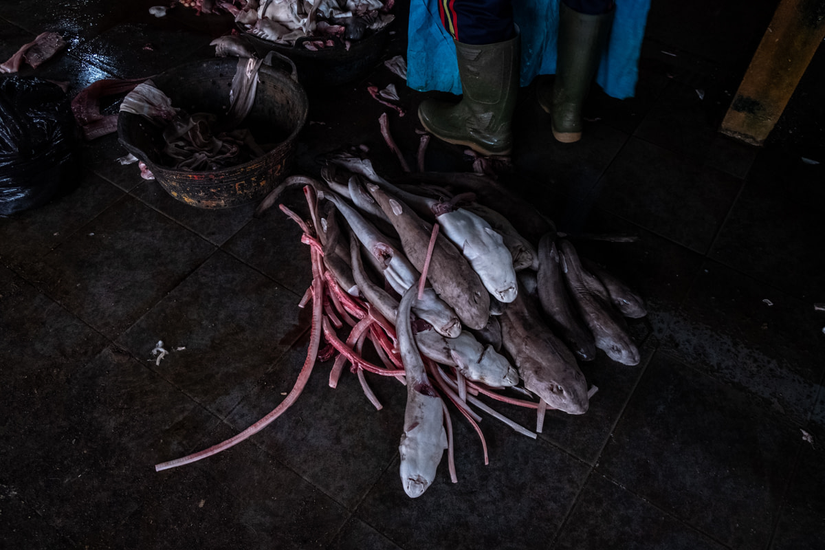 Various body parts from butchered sharks lie on a traditional Indonesian market floor. Except for the sharks' bones, the market sells almost every part of each animal, including their meat, skin and internal organs.