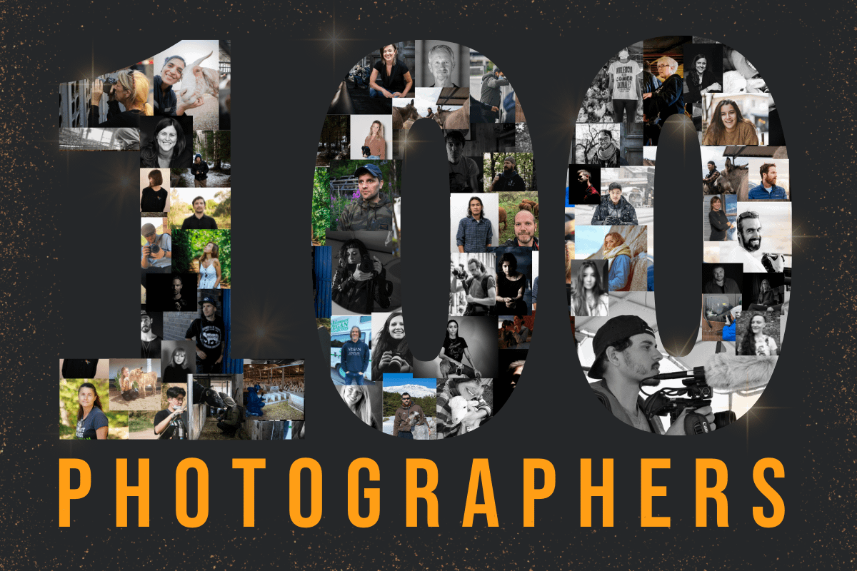 100 Photographers Bringing You Animal Stories