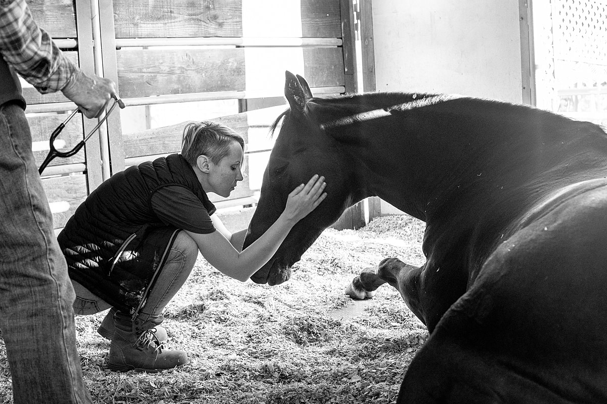 A barn manager comforts Lakota, a rescued Thoroughbred horse at Saffyre Sanctuary. Lakota has fallen ill that evening and rests inside his stall at the sanctuary. Shadow Hills, California, USA, 2022. Alexis Liohn / Saffyre Sanctuary Inc. / We Animals Media