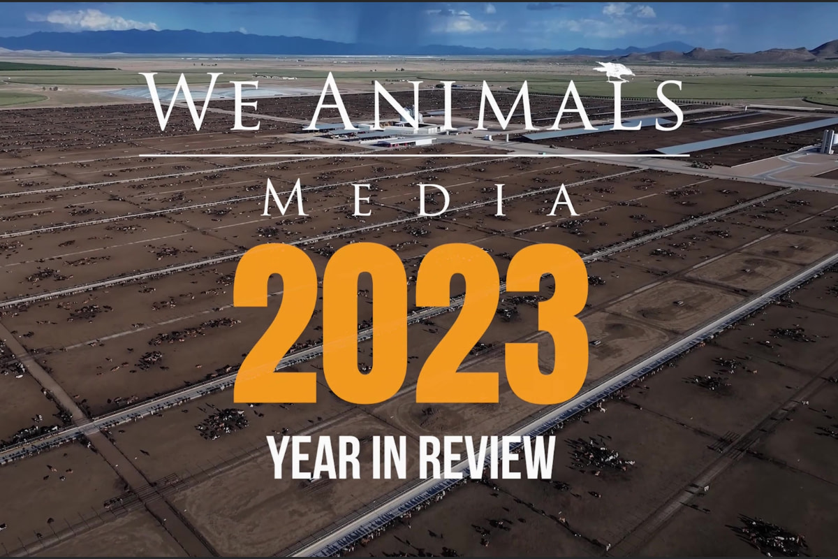 WAM 2023 Year in Review Featured Image