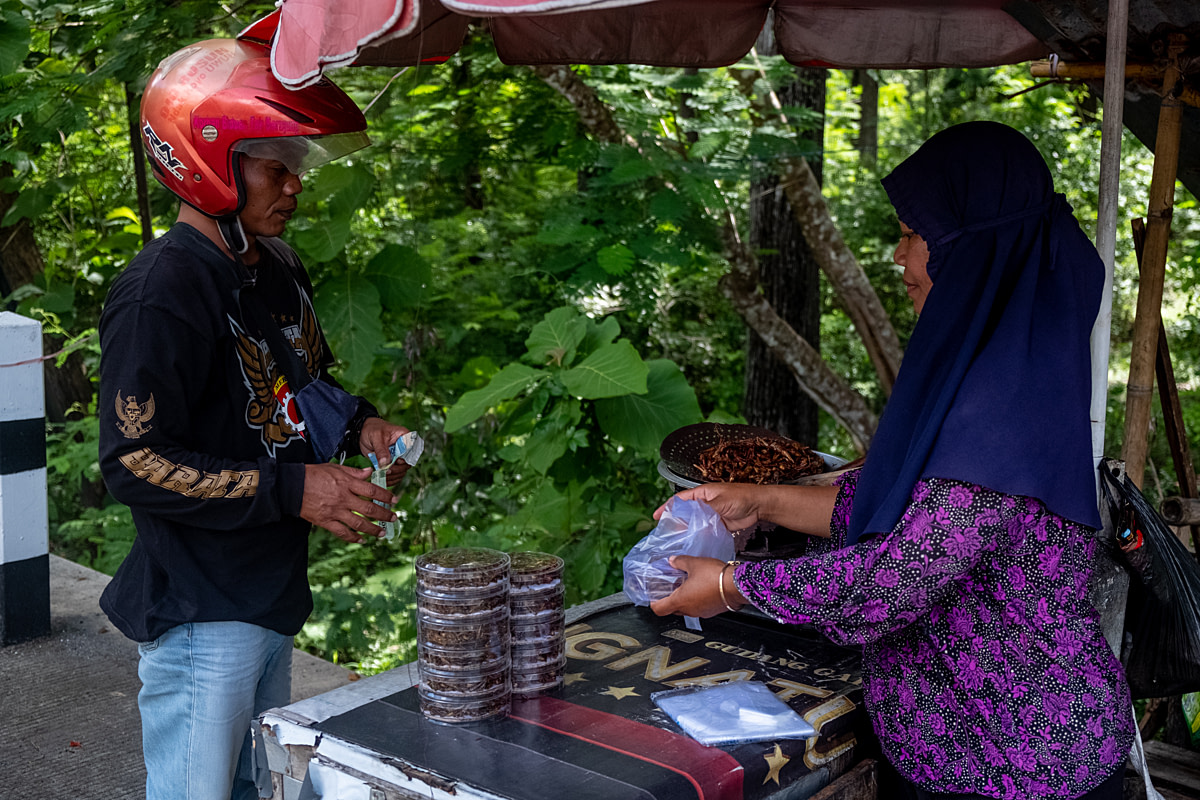 A man purchases fried grasshoppers from a roadside fried grasshopper seller. The sellers set up along the town's main road, aiming to sell to visiting tourists. Wonosari, Gunung Kidul Regency, Yogyakarta, Indonesia, 2024. Resha Juhari / We Animals Media
