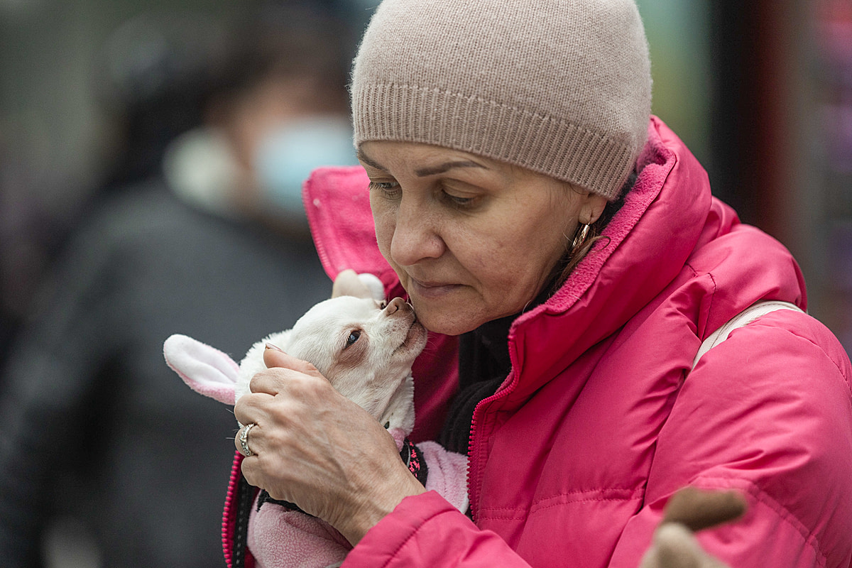 A Ukrainian refugee holds her small dog tightly to her chest as they wait at the Katowice train station. Animal refugees are provided with food and veterinary care, if needed. Poland, 2022. Andrew Skowron / We Animals Media