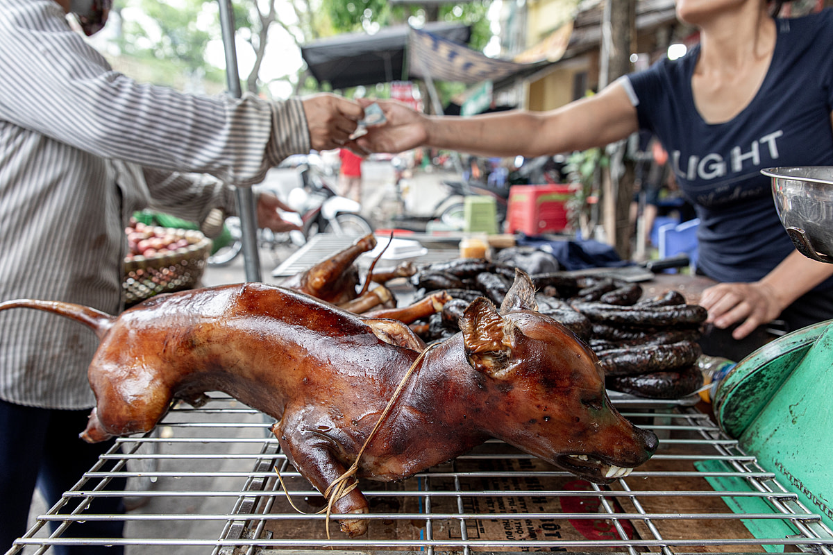 Cooked whole dogs and sausage made from dog meat are displayed for sale outdoors at a store on Gam Cau Street in Hanoi, Vietnam. The skin of the cooked dogs has been seared by fire to remove the dog's hair and preserve the carcasses before they are sold as meat. In the background, a man hands the dog meat vendor payment for a purchase they've just made. Vietnam, 2022.Aaron Gekoski / Asia for Animals Coalition / We Animals Media