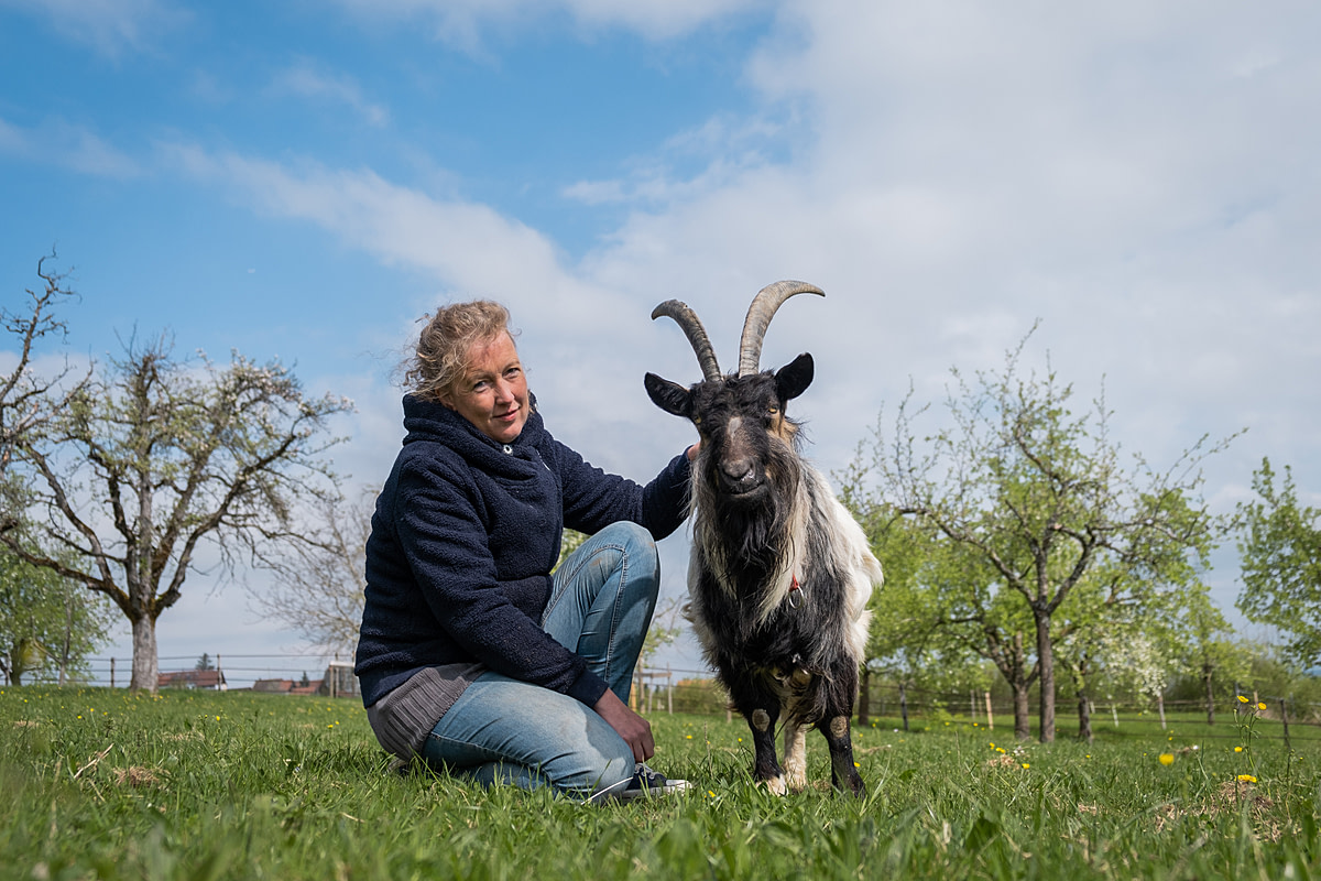 Sarah Heiligtag sits in the pasture between blossoming apple trees with rescued goat, Julia, at Lebenshof Hof Narr in Hinteregg, Switzerland. Eighteen-year-old Julia is one of eight goats and also one of the oldest rescued animals at Hof Narr, which is Sarahs animal sanctuary. Hof Narr, Hinteregg, Zurich, Switzerland, 2022. Sabina Diethelm / We Animals Media