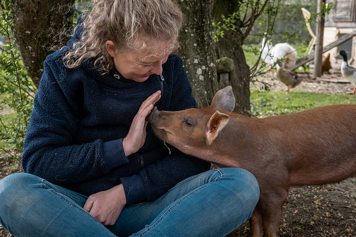 Sarah Heiligtag plays with piglet Rosalie in the yard at Hof Narr in Hinteregg, Switzerland. Hof Narr is a vegan farm and animal sanctuary where chickens, ducks, cats, pigs, sheep, goats, horses and other farmed animals are free to roam and live out their natural lives without exploitation. Hof Narr, Hinteregg, Zurich, Switzerland, 2022. Sabina Diethelm / We Animals Media