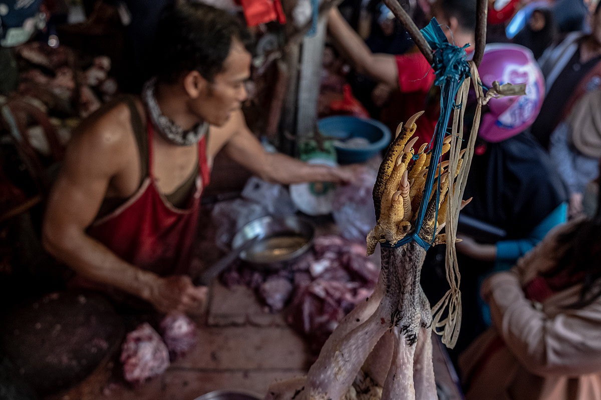 At a busy Indonesian market in the days before the Eid al-Fitr holiday, dead chickens hang above a seller's counter as the seller cuts up animal body parts and interacts with shoppers in the background. As Eid al-Fitr nears, customer demand for chicken meat markedly increases preceding the holiday celebrations. Pagi Market, Pangkalpinang, Bangka Belitung, Indonesia, 2023. Resha Juhari / We Animals Media
