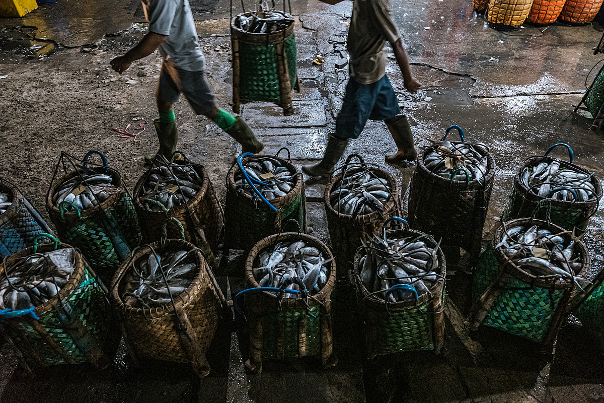 Baskets of dead milkfish sit in rows on the loading dock of an Indonesian fish market. In the background, two workers carry a basket to the weighing area.