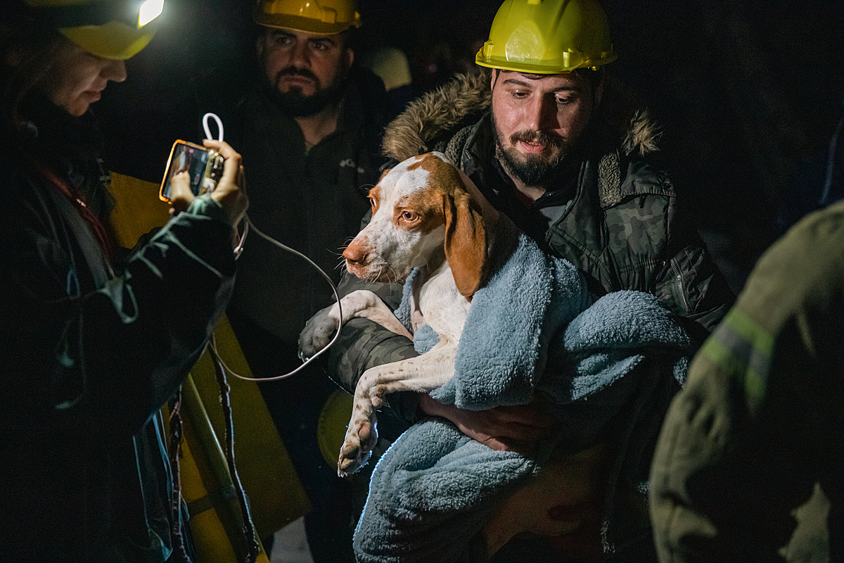 Following two massive February 2023 earthquakes, HAYTAP Animal Rights Federation and Istanbul Fire Department team members carry a mother dog from inside a damaged building. The team rescued the mother dog and her litter of puppies five days after the earthquakes struck the country. Antakya, Hatay, Turkiye, 2023. Ozan Acidere / We Animals Media
