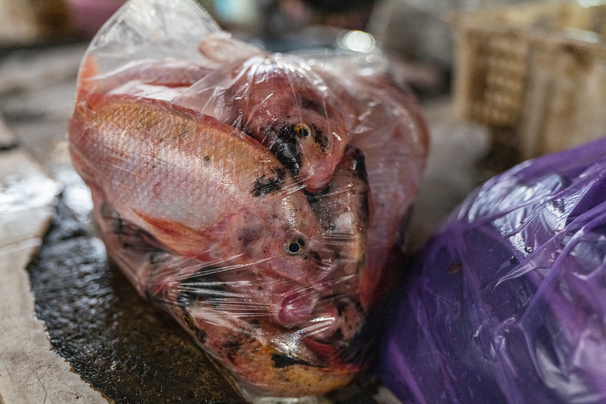 Dead and dying tilapia, packed into a transparent plastic bag for a customer at a fish market. Indonesia, 2021. Lilly Agustina / Act for Farmed Animals / We Animals Media