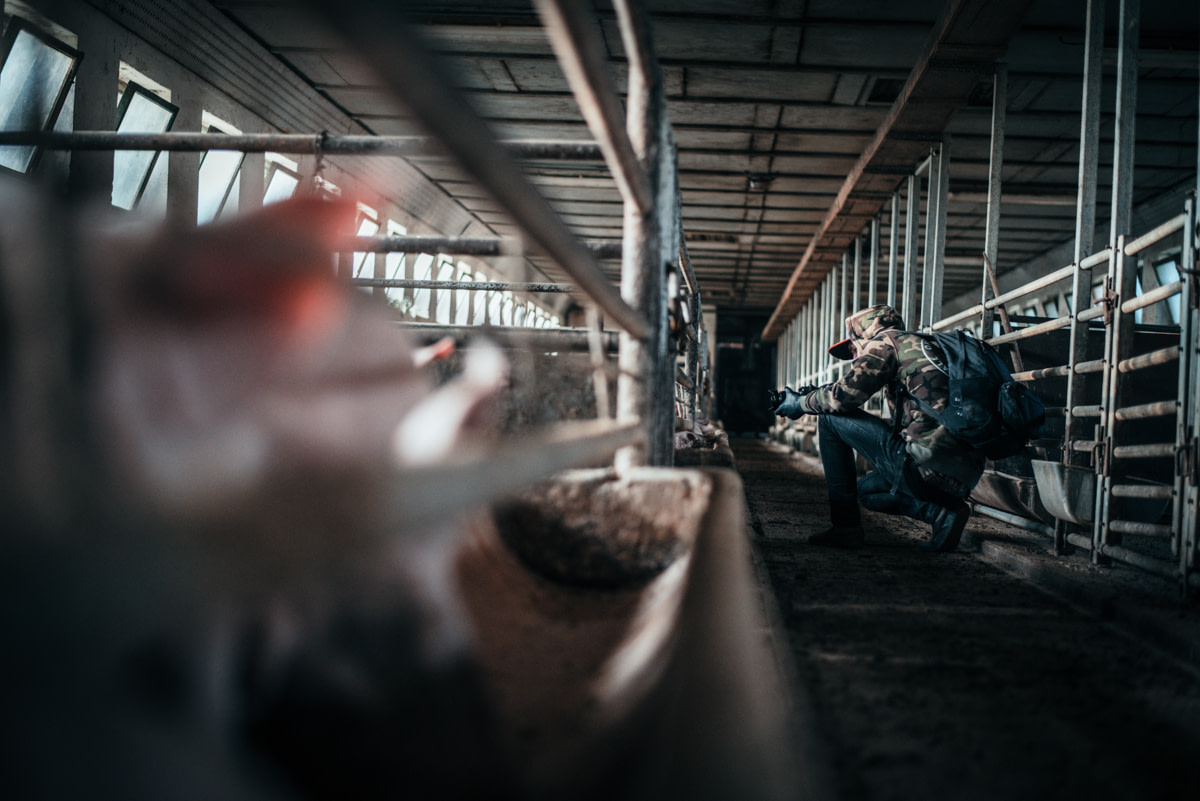 We Animals Media contributor, Lukas Vincour in the field We Animals Media contributor, Lukas Vincour in the field