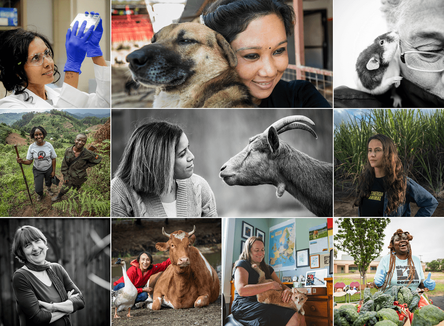 The Unbound Project: Celebrating Women on the Frontlines of Animal Advocacy Worldwide
