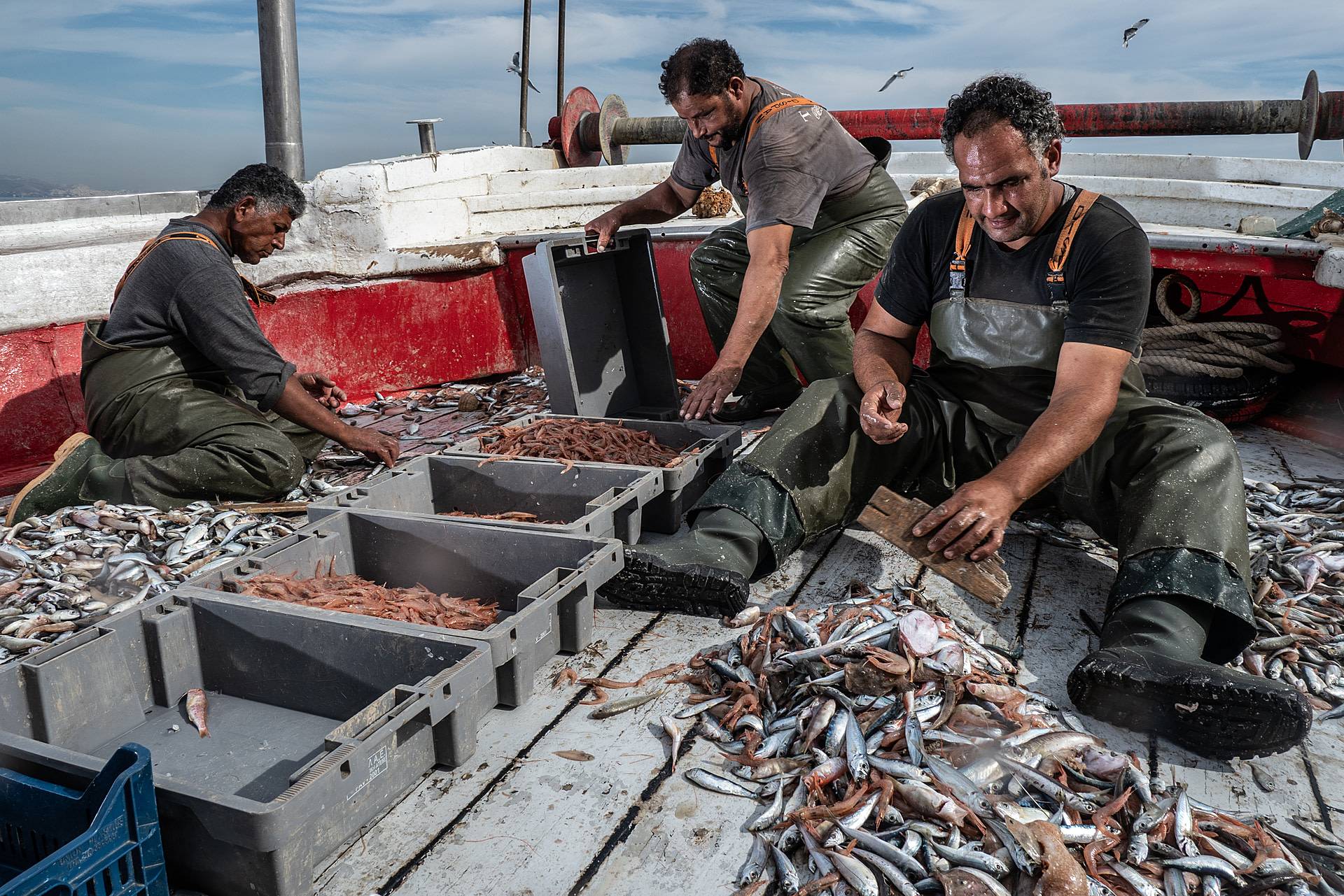 Workers onboard the fishing boat Fasilis sort the catch by type, dividing it between fish with commercial value and useless by-catch. Greece, 2020. Selene Magnolia / We Animals Media