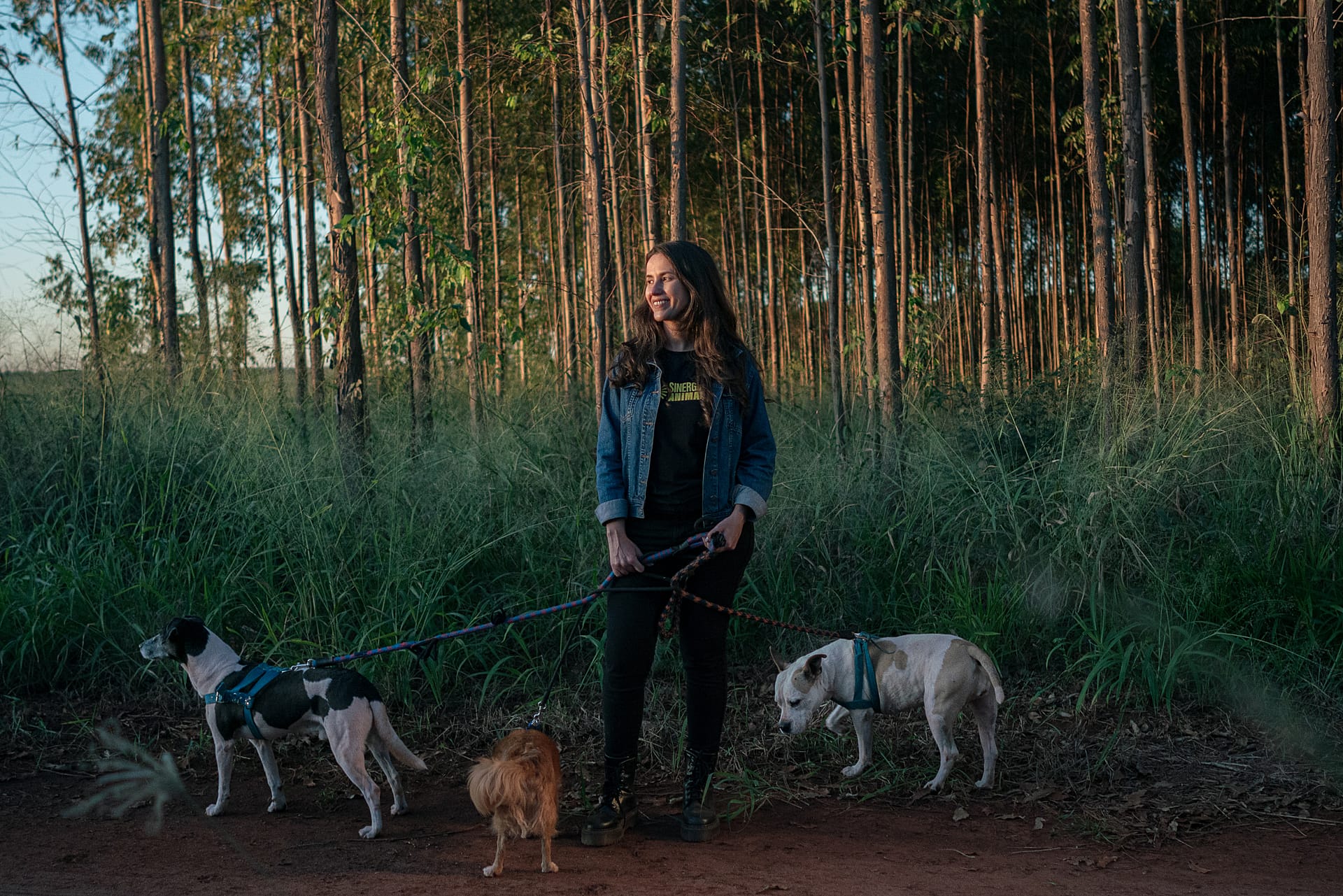 Carolina Galvani, founder and executive director of Sinergia Animal International, stands in the early evening with three of her four dogs Bibi, Sombra, and Raposinho on her family farm in the countryside of Sao Paulo, Brazil. They are out walking together surrounded by the farm's fields of corn, papaya, and sugar cane. Photo by Francesco Pistilli / #unboundproject / We Animals Media