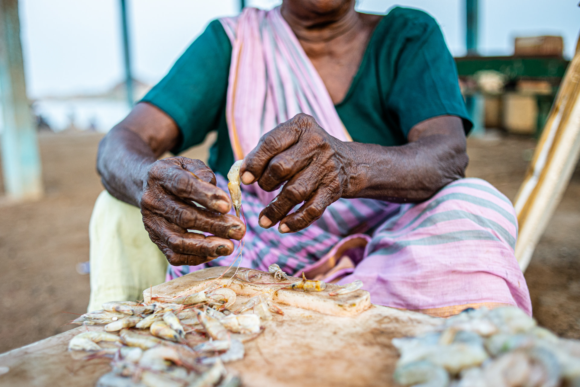 A local female fishmonger deveins shrimps and prawns who were recovered from fishing bycatch. Kothapalli, Andhra Pradesh, India, 2022. S. Chakrabarti / We Animals Media