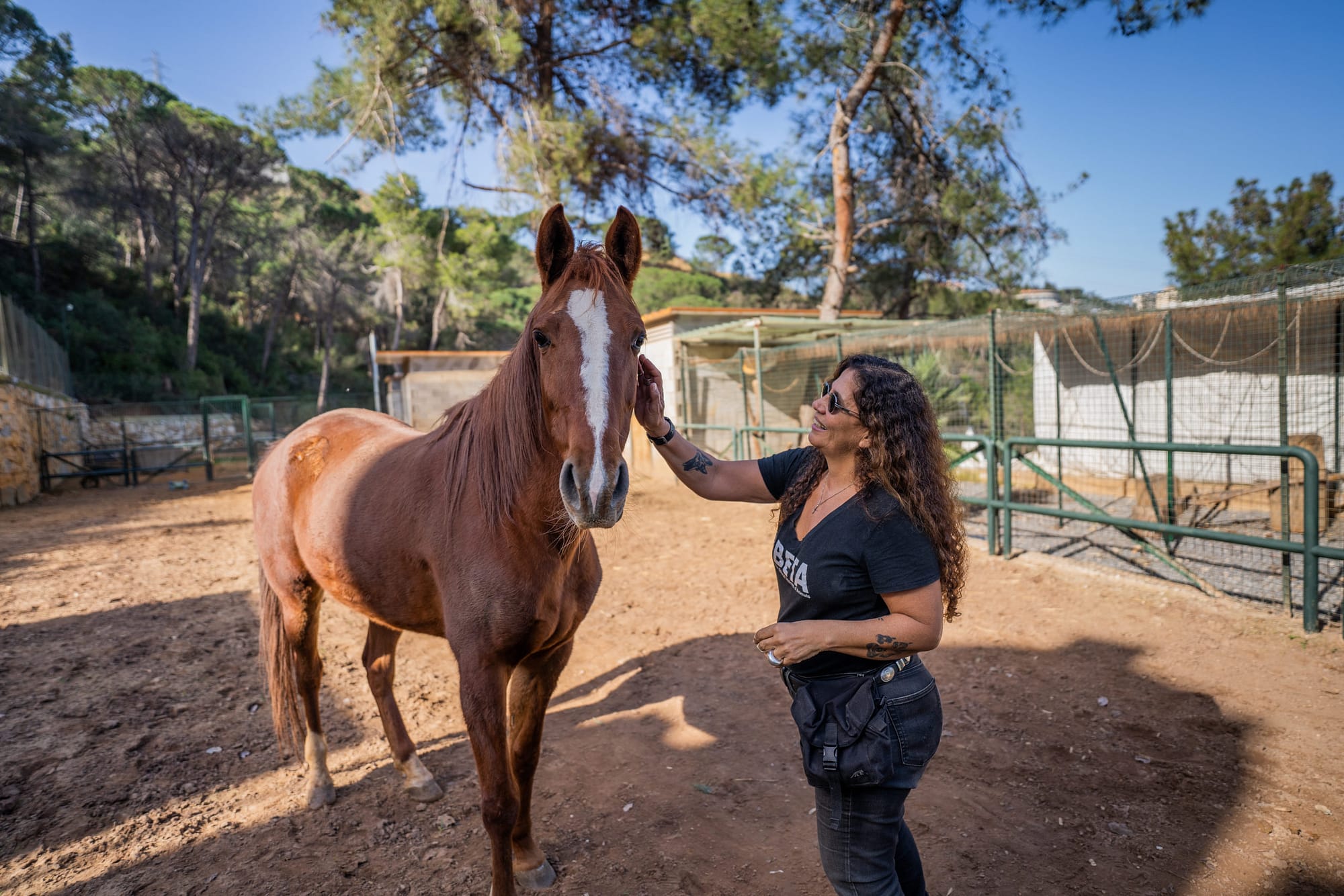 Helena Hesayne from Beirut Ethical Treatment for Animals with a rescued horse.