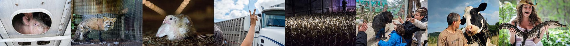 HeaderImage03