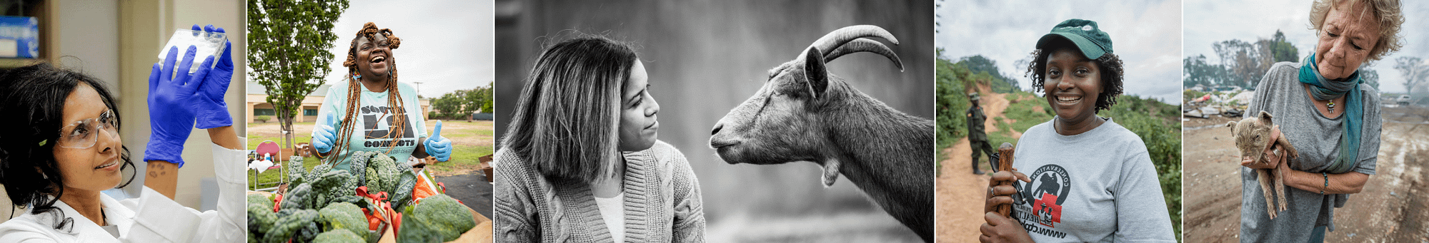 The Unbound Project: Celebrating Women on the Frontlines of Animal Advocacy Worldwide