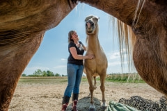 Karyn Boswell with Teddy, and Penny at Penny Lane Sanctuary. Canada, 2016.