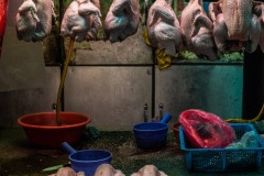 Whole chickens are hooked and hung through their nostrils on display for sale at a Taipei wet market. Taiwan, 2019.