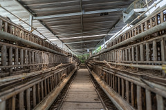 Rows of battery cages at a duck egg farm in Indonesia house hundreds of ducks. Indonesia, 2021. Haig / Act for Farmed Animals / We Animals Media
