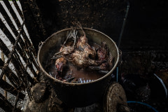 A pot of boiling water is filled with recently slaughtered ducks at a small slaughterhouse. Indonesia, 2021. Haig / Act for Farmed Animals / We Animals Media