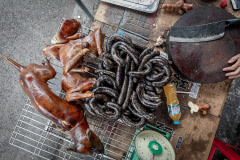 Whole cooked dogs, cooked dog body parts, and sausage made from dog meat are displayed for sale at a store on Gam Cau Street in Hanoi, Vietnam. The skin of the cooked dogs has been seared by fire to remove the dog's hair and preserve the carcasses before they are sold as meat.