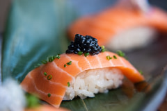A display of fresh ingredients with cultivated salmon, made by WildType, a pioneer in cellular agriculture.
