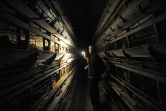 Animal Equality co-founder Jose Valle during an investigation.