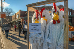 Protest against keeping egg-laying hens in cages.
