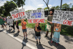 Hundreds of anti-captivity protesters storm Marineland. Canada, 2012.