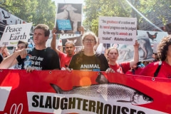 March to End Slaughterhouses. Australia, 2017.