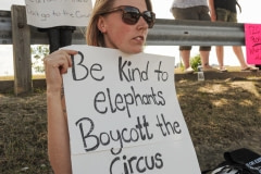 Protesting is a long-standing tradition and act of defiance in many forms of activism. Canada, 2012.
