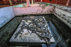 Young crocodiles at a farm. Cambodia, 2011.