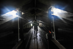 The inside of an alligator factory farm.