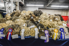 Prize-winning wool at the Royal Agricultural Winter Fair in Toronto.