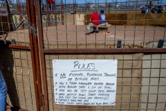 Rules. Small pigs are prodded out into a ring, chased and caught, "sacked", and then dragged across a finish line. Texas, USA, 2015.