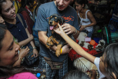 Puppies for sale at Chatuchak market in Bangkok.