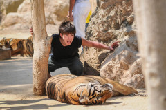 A tourist posing with a tiger at Tiger Temple.