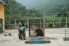 Miracle lived in this cage for eight years before arriving at Animals Asia's Tam Dao sanctuary.  Vietnam, 2008.