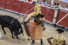 The bull is antagonized and rushes towards the armoured horse and Picador. Spain, 2009.