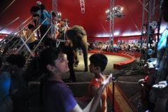 Circus attendees riding elephants before the show. Canada, 2011.