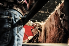 The rodeo at the Royal Agricultural Winter Fair. Canada, 2009.