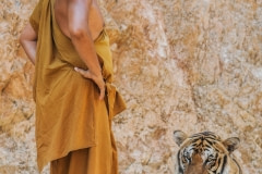 A tiger and the head Buddhist monk at Tiger Temple. Thailand, 2008.
