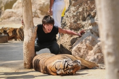 A tourist posing with a tiger at Tiger Temple. Thailand, 2008.