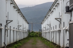Broiler farm. Taiwan, 2019.