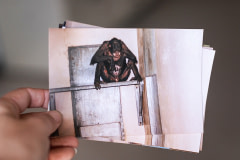 Photographs of animal use from the Coulston Foundation, a former animal testing laboratory. USA, 2008. Jo-Anne McArthur / We Animals Media