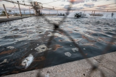 Fish farm. Israel, 2018.