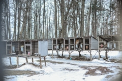A small fur farm. Canada, 2014.