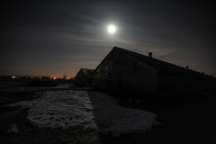 A mink farm in winter. Canada, 2014.